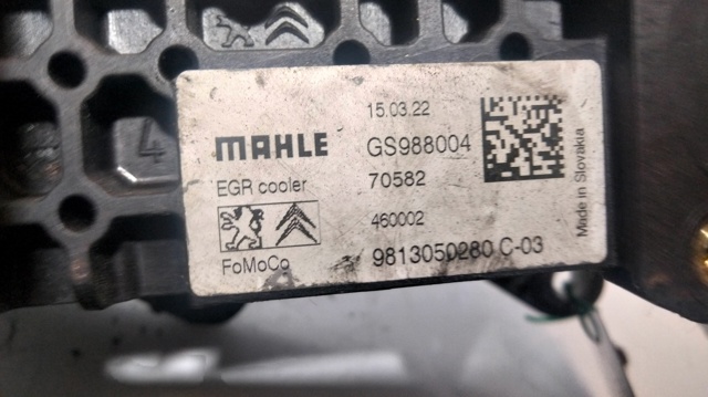 9813050280 Peugeot/Citroen