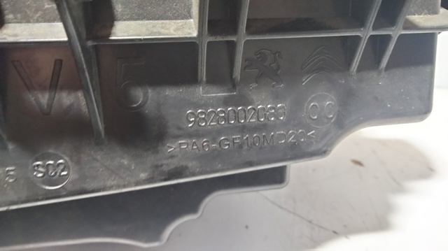 9828002080 Peugeot/Citroen