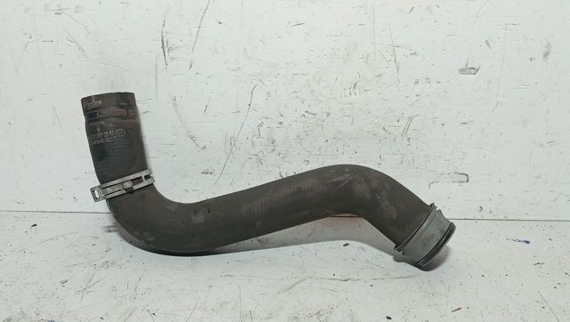 Mangueira (cano derivado) do radiador de esfriamento superior A9065012982 MERCEDES