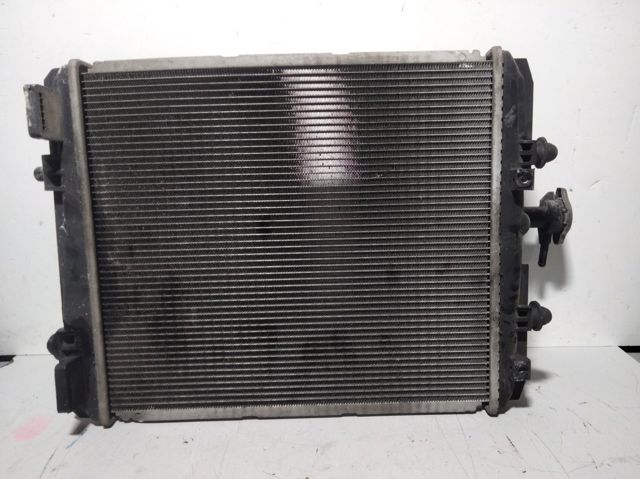 Radiador de esfriamento de motor CZ42217313420T PEUGEOT