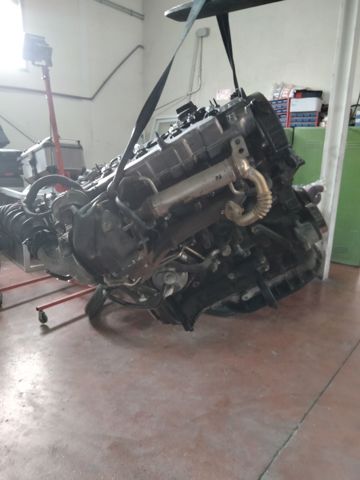 D4D Toyota