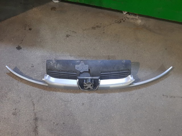 Grelha do radiador Peugeot 206  2D ao melhor preço