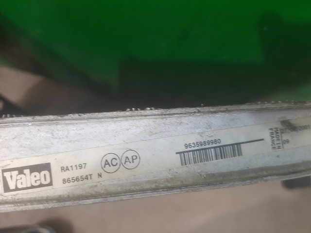 9635989980 Peugeot/Citroen