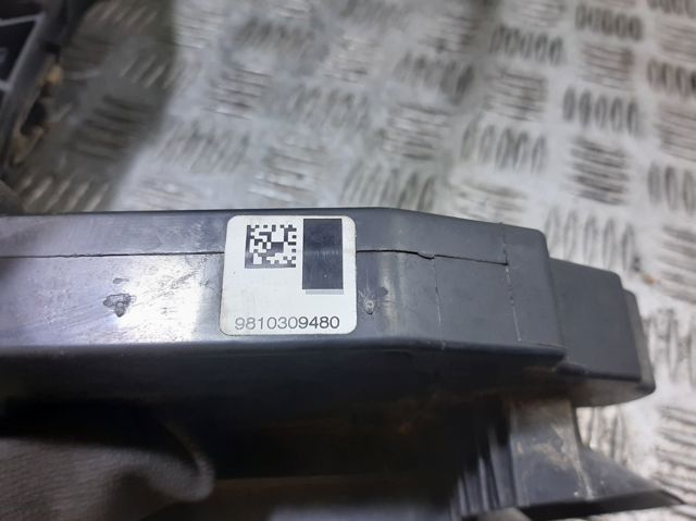 9810309480 Peugeot/Citroen