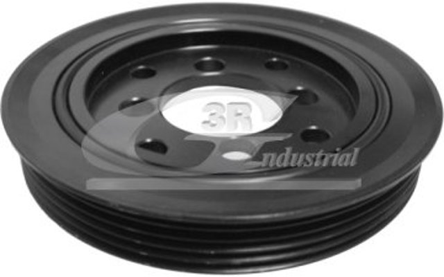 Polia de cambota 10300 3RG