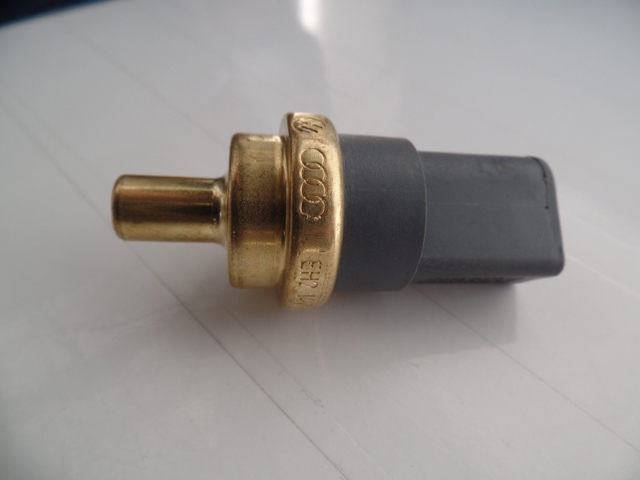 06A919501A VAG