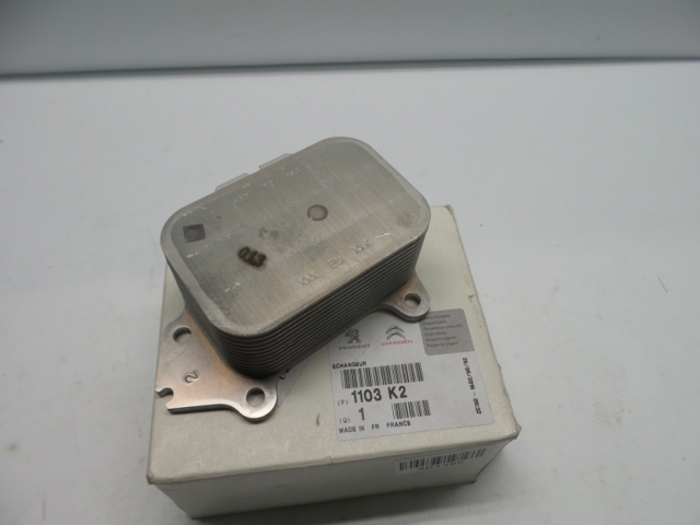 1103K2 Peugeot/Citroen