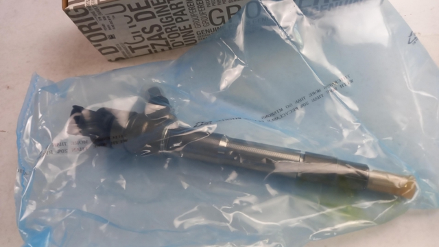 166003281R Renault (RVI)