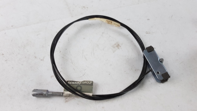 365309636R Renault (RVI)