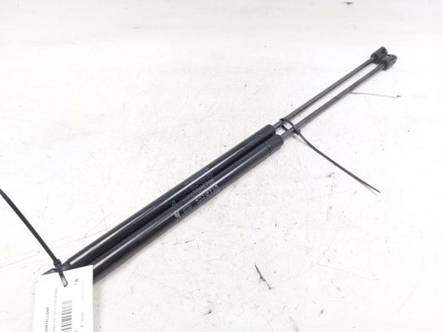 Amortecedor de tampa de porta-malas (de 3ª/5ª porta traseira) 00518336250 FIAT