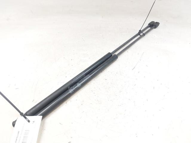 Amortecedor de tampa de porta-malas (de 3ª/5ª porta traseira) 00518336250 FIAT
