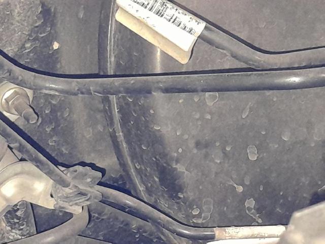 Reforçador dos freios a vácuo 01469SWYG10 HONDA