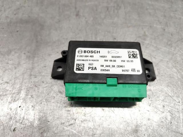 0263004465 Peugeot/Citroen