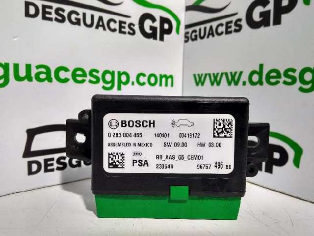0263004465 Peugeot/Citroen