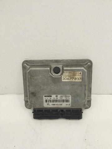 0281001956 Rover