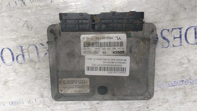 0281001956 Rover