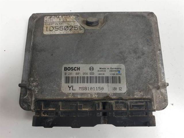 0281001956 Rover