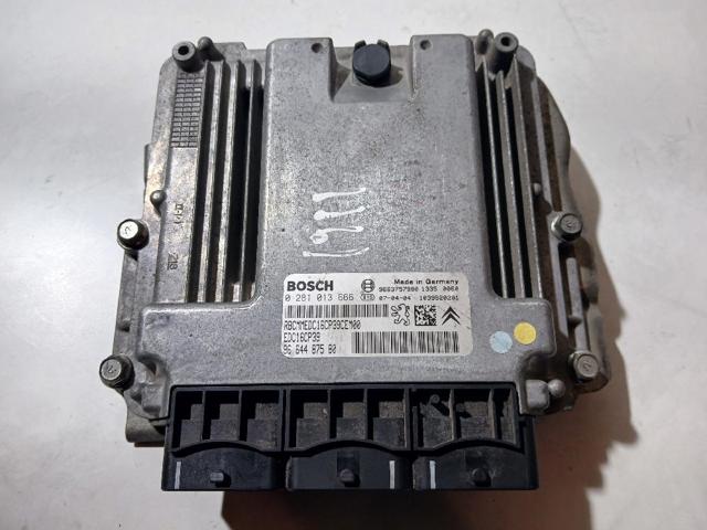 0281013666 Peugeot/Citroen