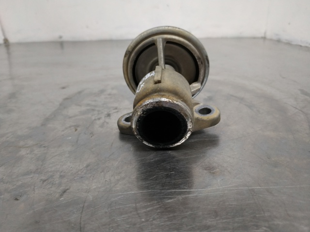 Válvula EGR de recirculação dos gases 028131501F VAG