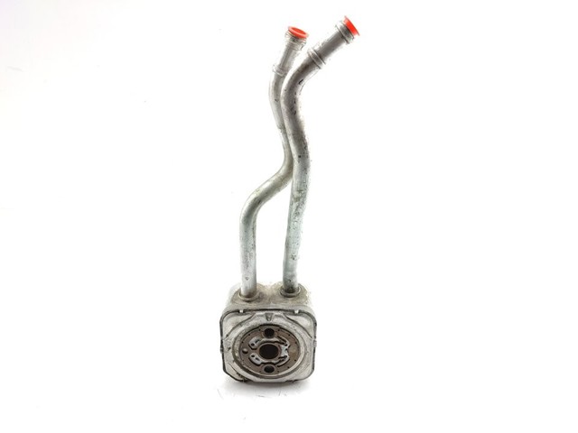 Radiador de óleo (frigorífico), debaixo de filtro 036117021G VAG
