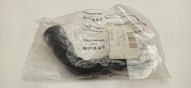 038103493AC VAG