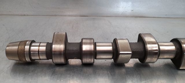 Árvore distribuidora de motor 038109101K VAG