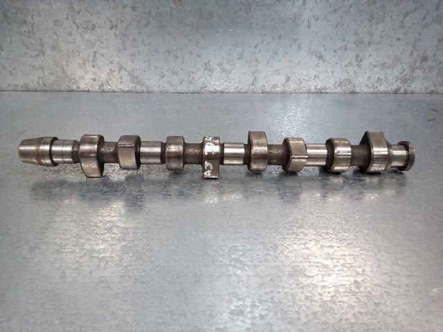 Árvore distribuidora de motor 038109101K VAG