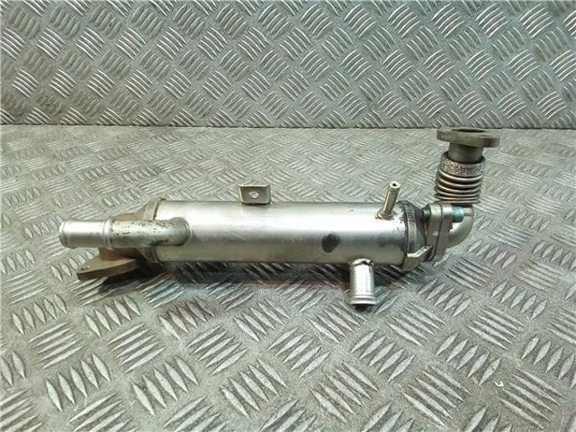 038131513G VAG