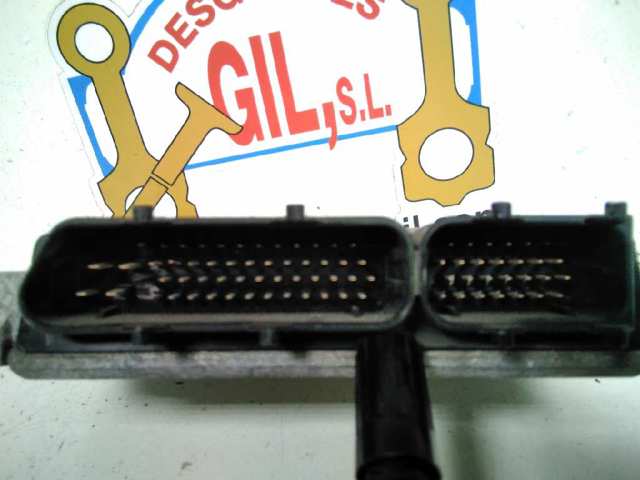 038906013D VAG