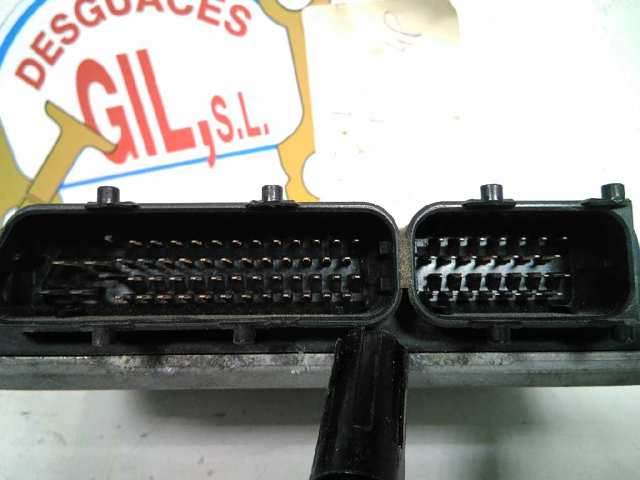 038906018D VAG