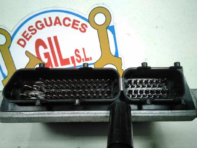 038906018N VAG