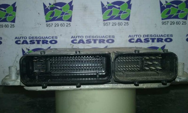 038906019FC VAG
