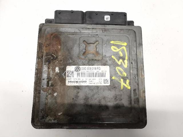 03G906018FG VAG