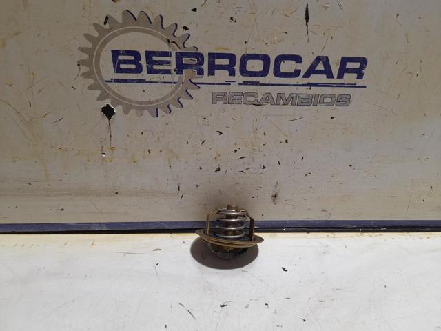 Termostato 03L121113A VAG
