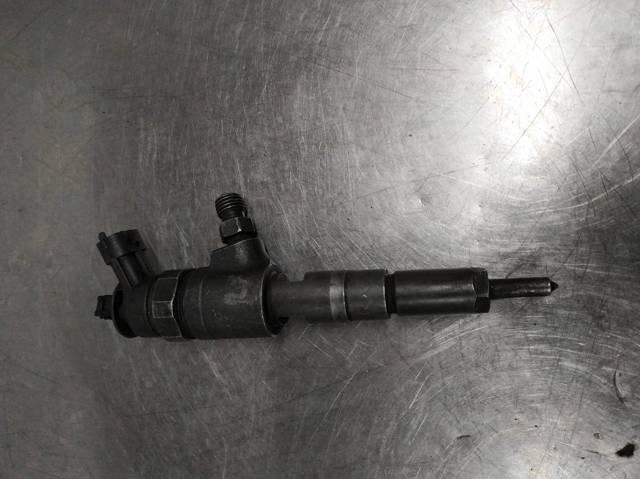 Injetor de injeção de combustível 0445110075 PEUGEOT