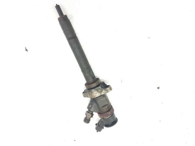 0445110311 Peugeot/Citroen
