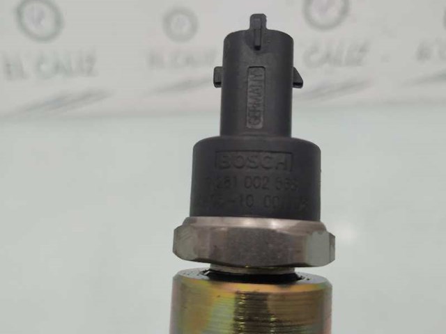 0445214079 Renault (RVI)