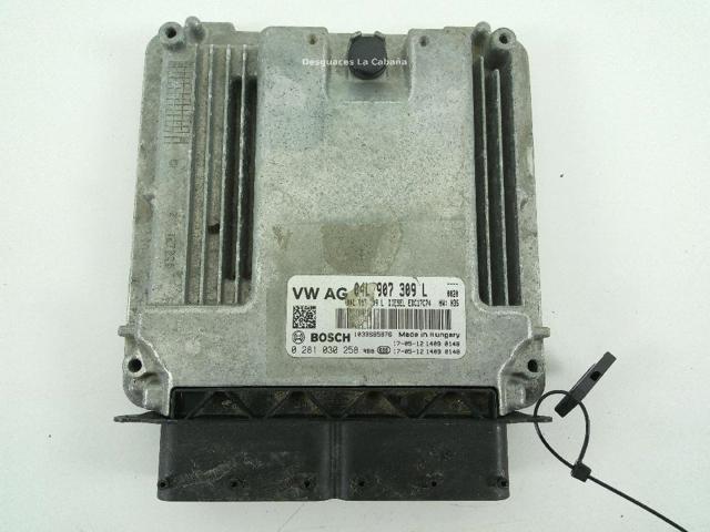 04L907309L VAG