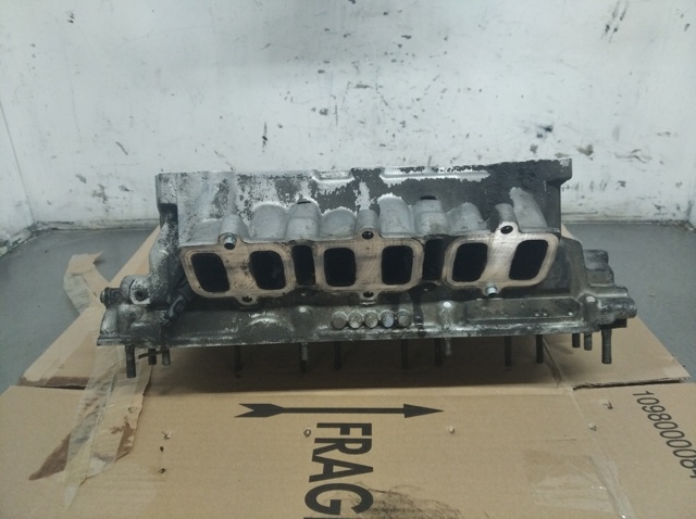 Cabeça de motor (CBC) esquerda 059103373D VAG