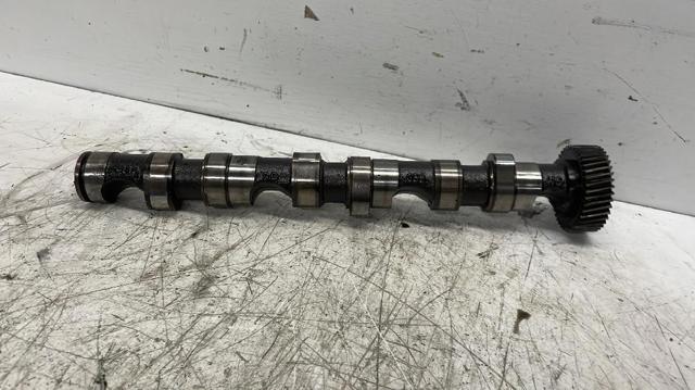 Árvore distribuidora direita de escape de motor 059109022BC VAG