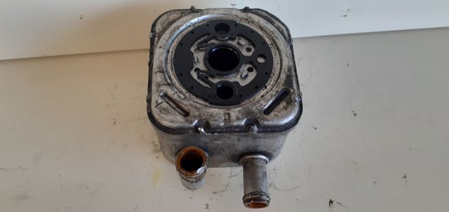 Radiador de óleo (frigorífico), debaixo de filtro 059117021B VAG