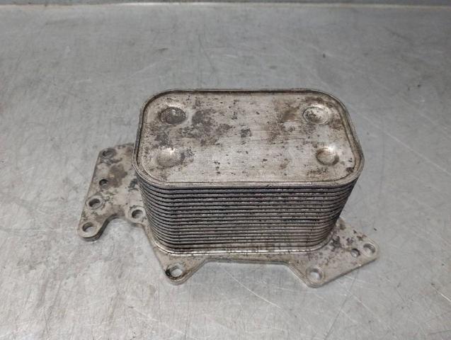 Radiador de óleo 059117021H VAG