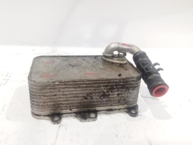 Radiador de óleo 059117021R VAG