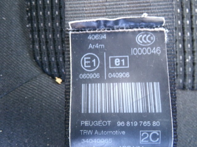 060906 Peugeot/Citroen
