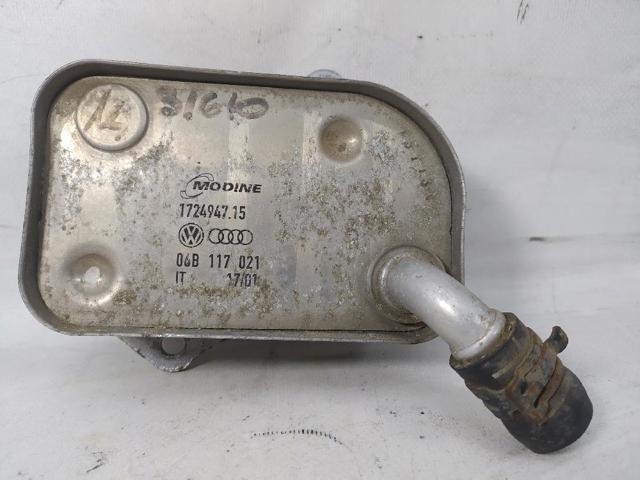06B117021 VAG