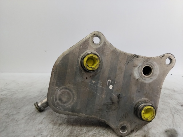 Radiador de óleo (frigorífico), debaixo de filtro 06B117021 VAG