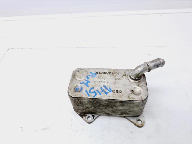 06D117021C VAG