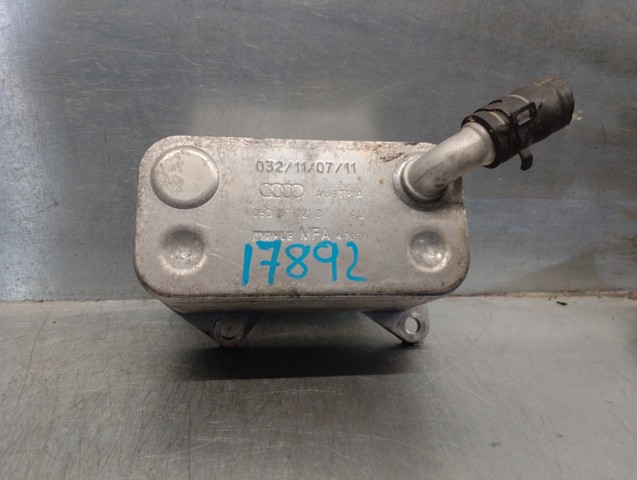 06D117021C VAG