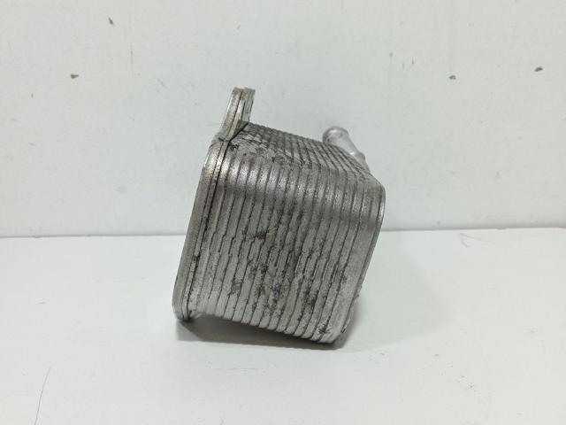 06D117021C VAG
