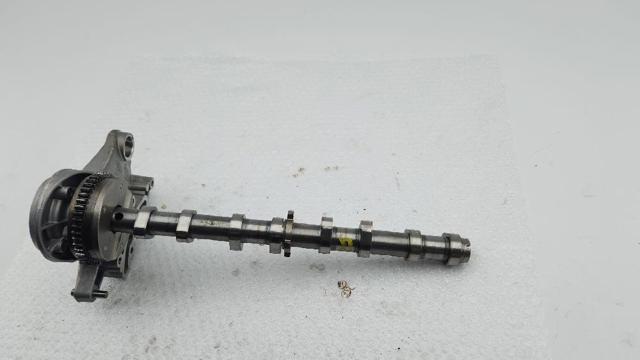 Árvore distribuidora de motor de admissão 06H109021J VAG